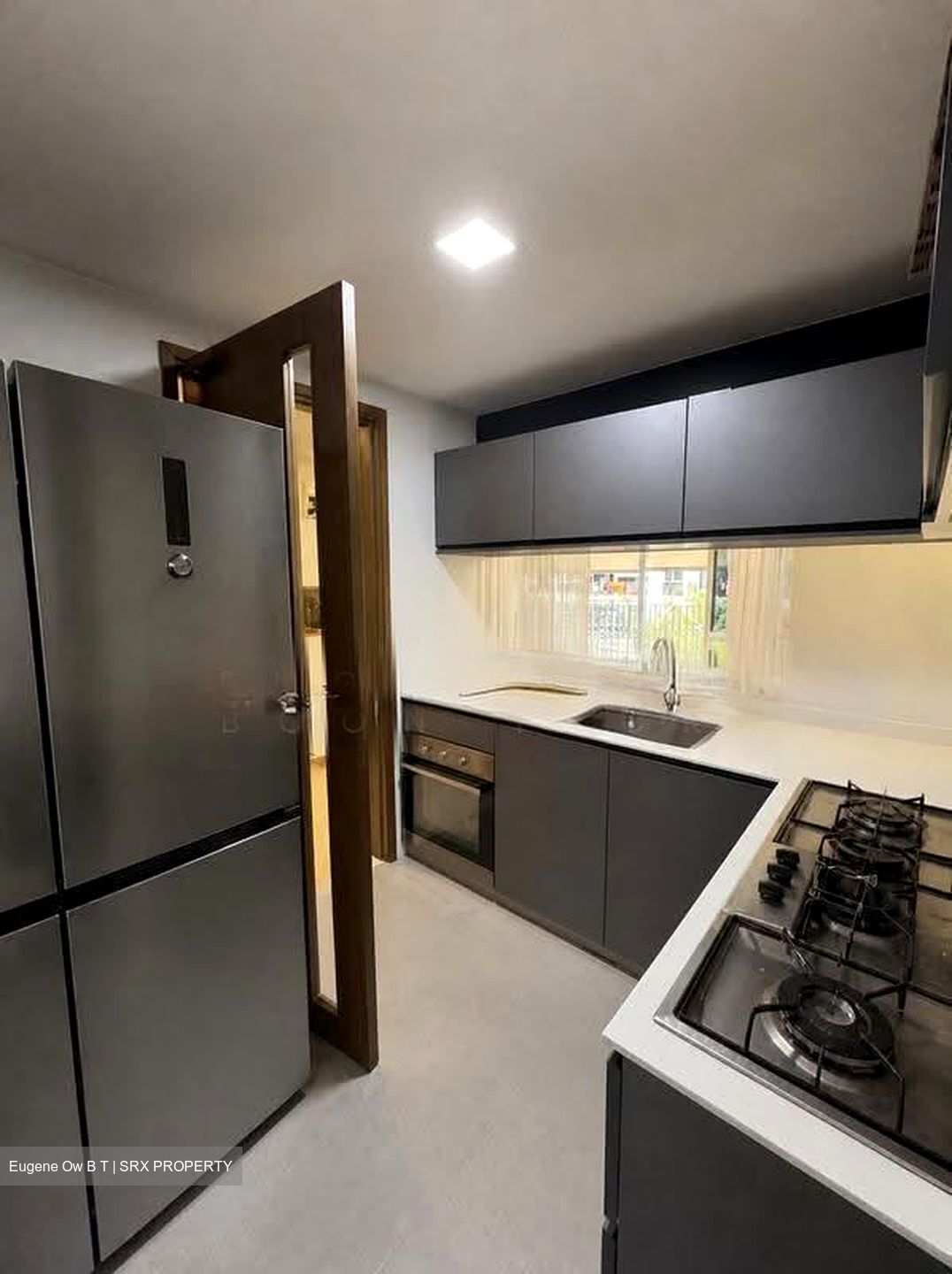 Ecopolitan (D19), Condominium #635465201